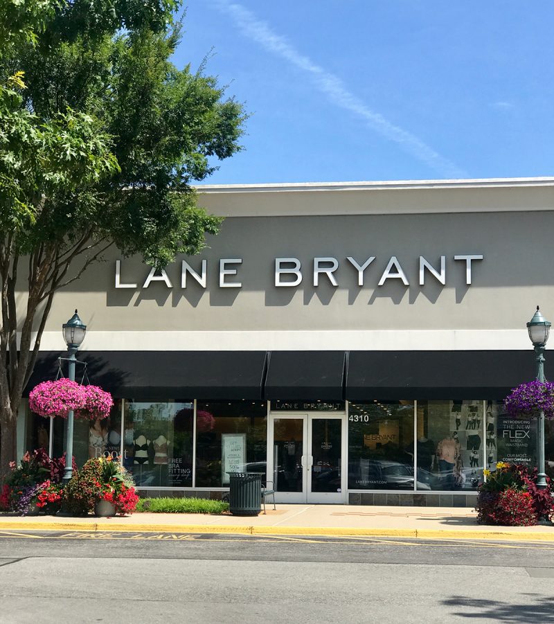 Lane Bryant Flex Magic 